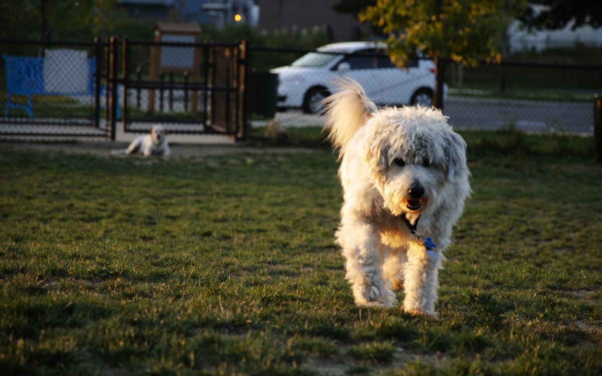 Clark Field — selected outdoor photography