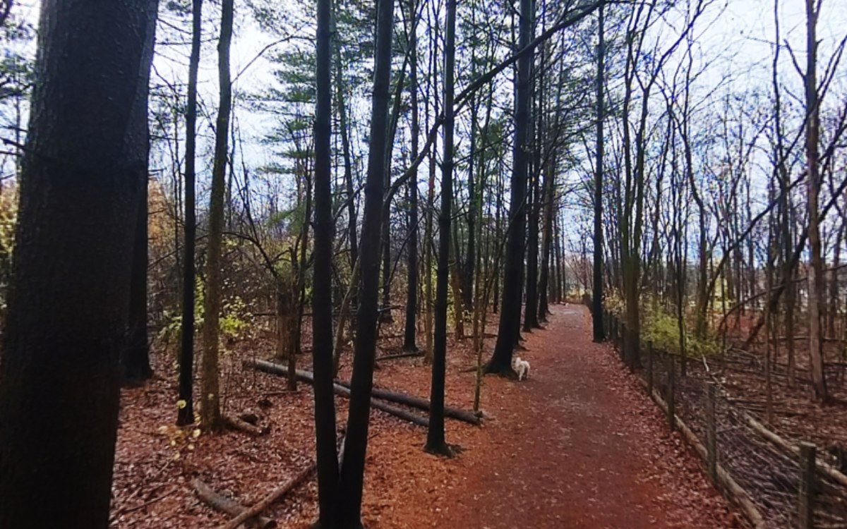 Carolyn Ludwig Mugrage Park — selected outdoor photography