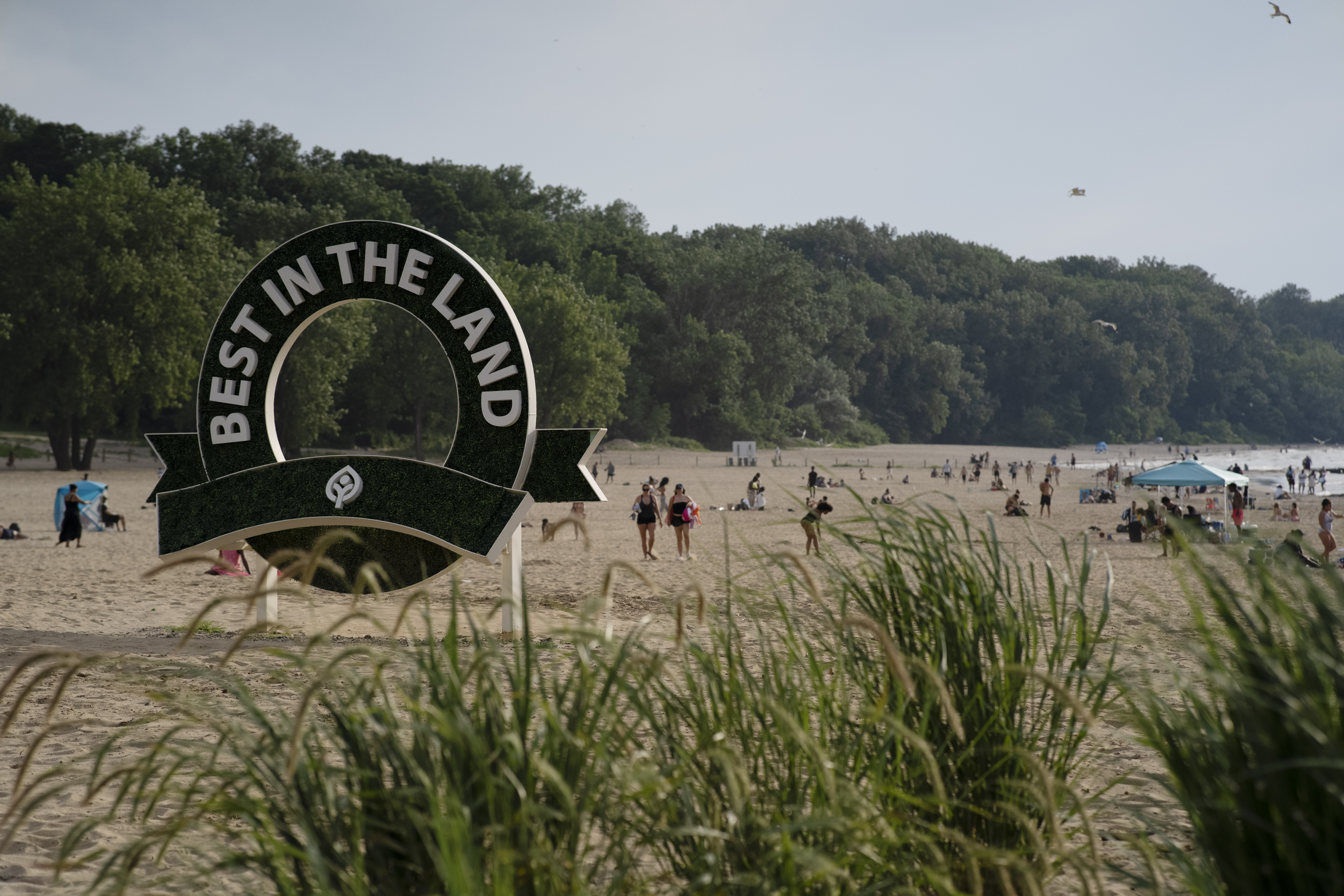 Best in the Land sign near the entrance to Edgewater Beach